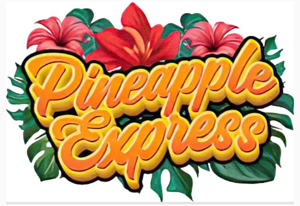 Muha Meds 2g Plush Pillow